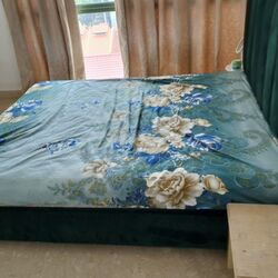 Ever Lodge (D14), Apartment #531541261